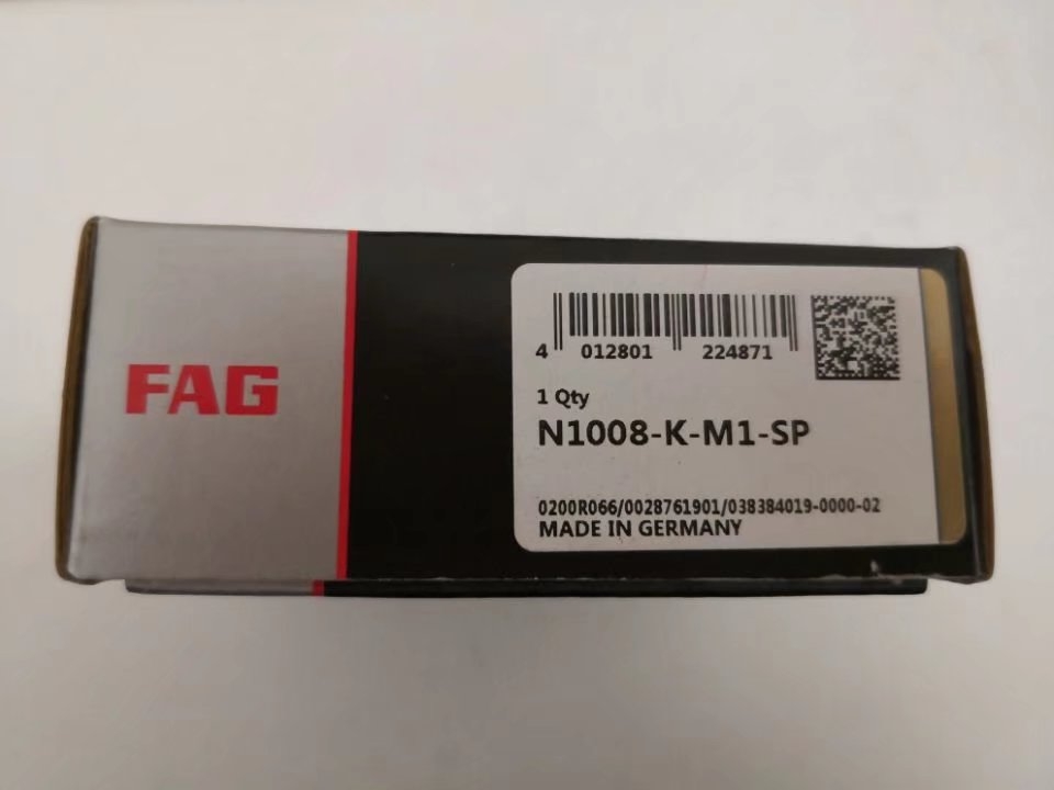 FAG N1008K-M1-SP