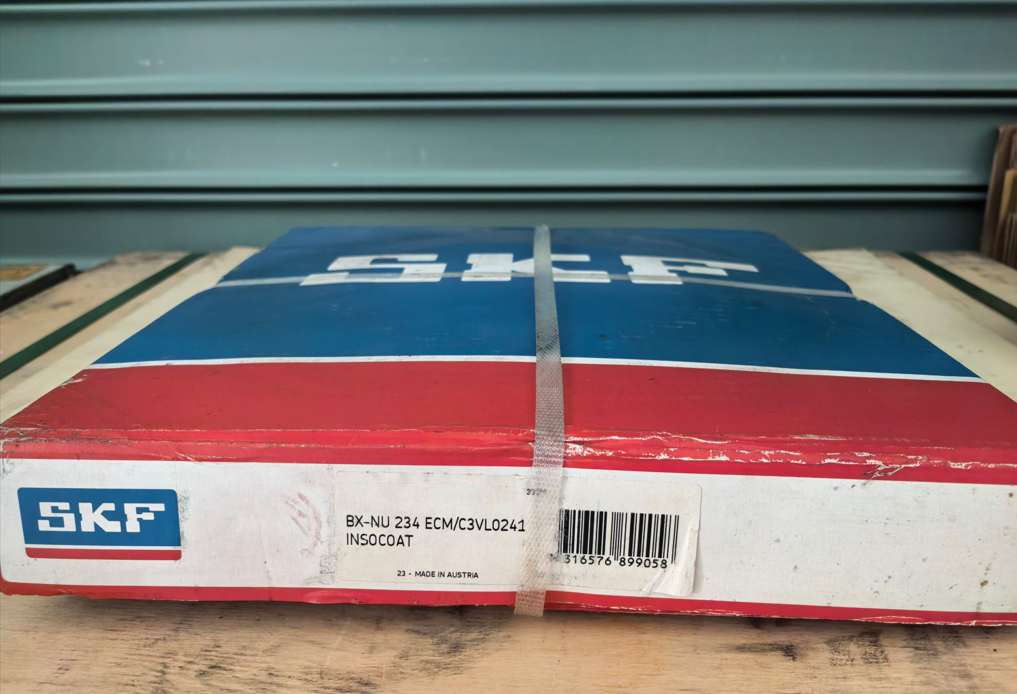 SKF  BX-NU234ECM/C3VL0241
