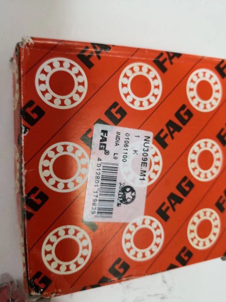 FAG NU309E.M1