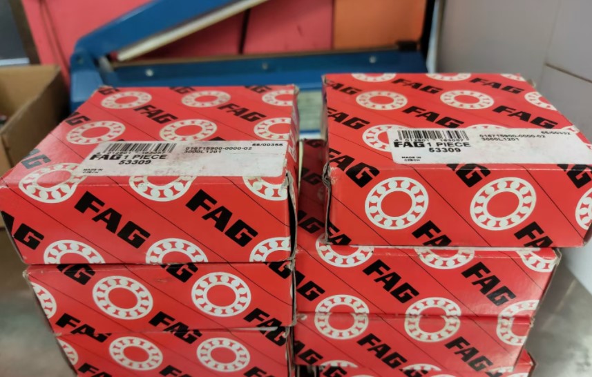 FAG 63309