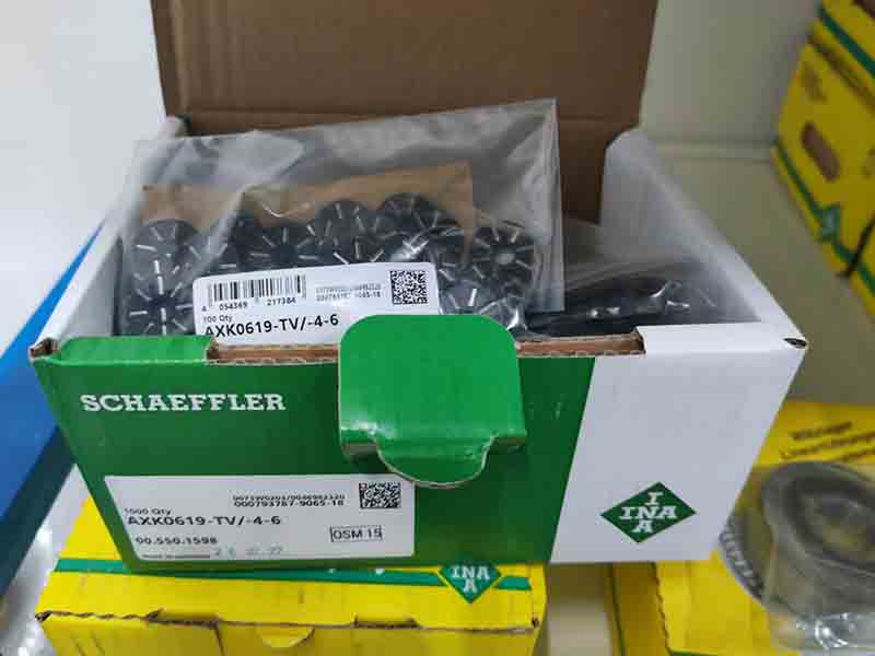 INA AXK0619