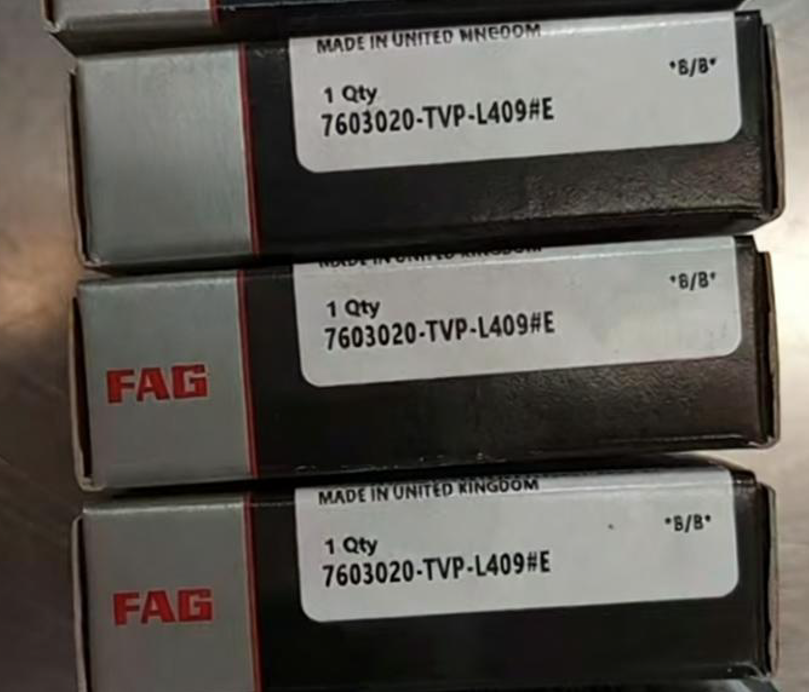 FAG  7603202-TVP-L409